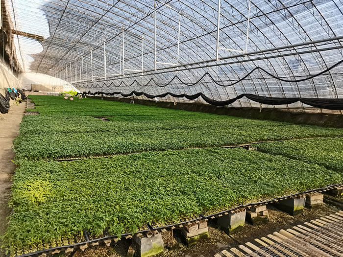 ������|(zh��)�������չʾ1